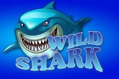 Wildshark играть в Сукааа Казино
